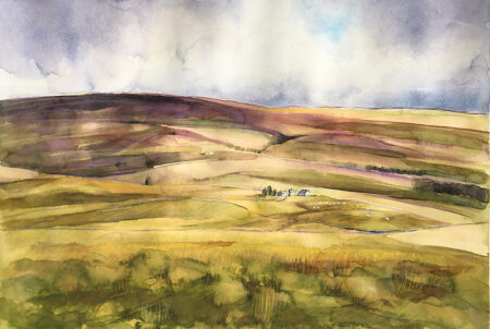 Ladies’ Riggs Moorland