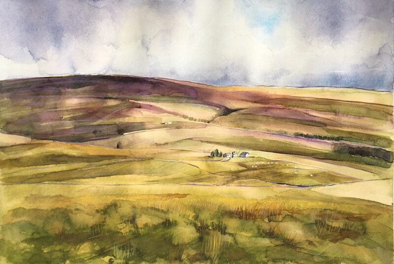 Ladies’ Riggs Moorland