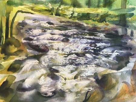 Rapids