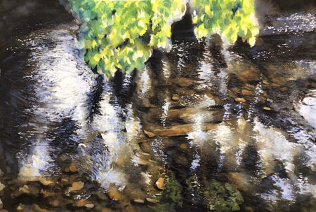 Shallows & Canopy